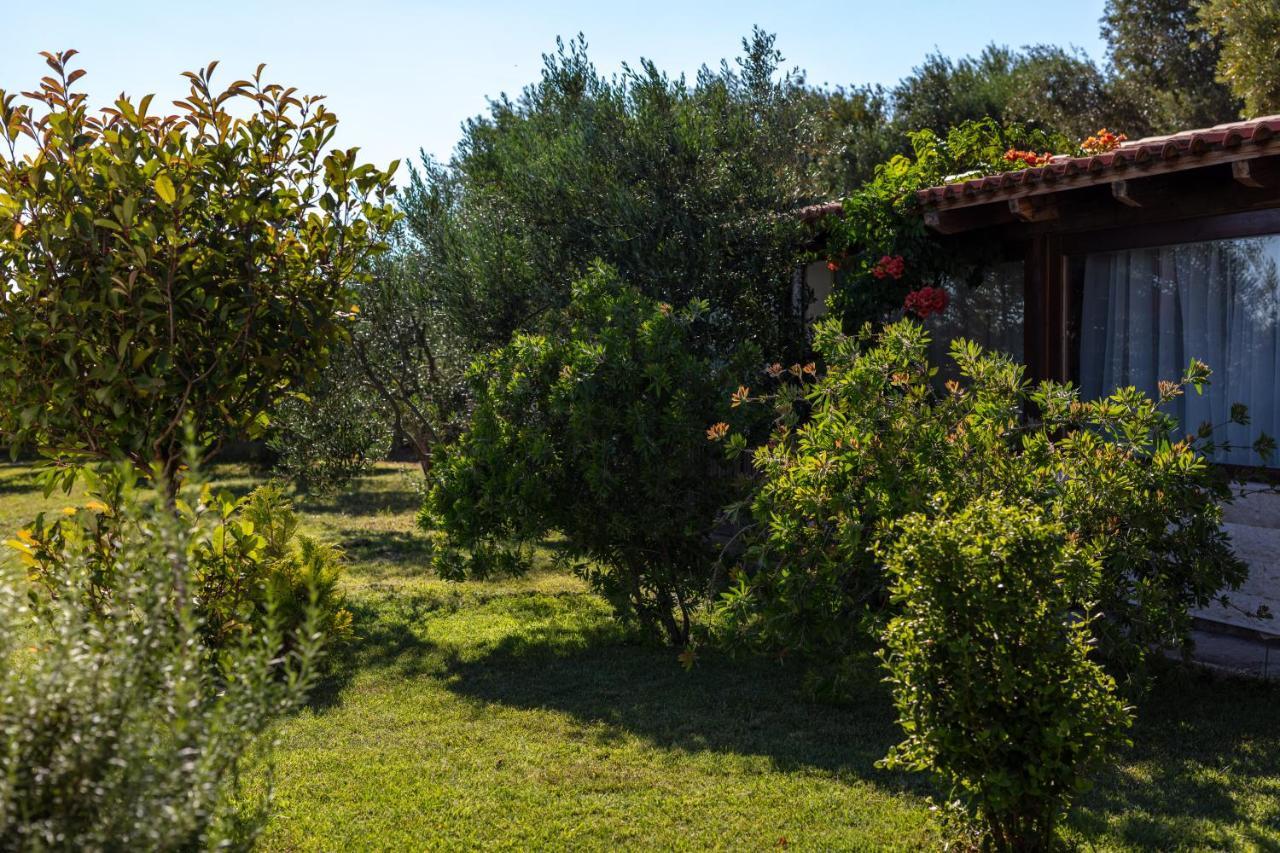 Villa Oliva Kastela Exterior photo